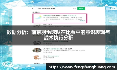 数据分析：南京羽毛球队在比赛中的意识表现与战术执行分析